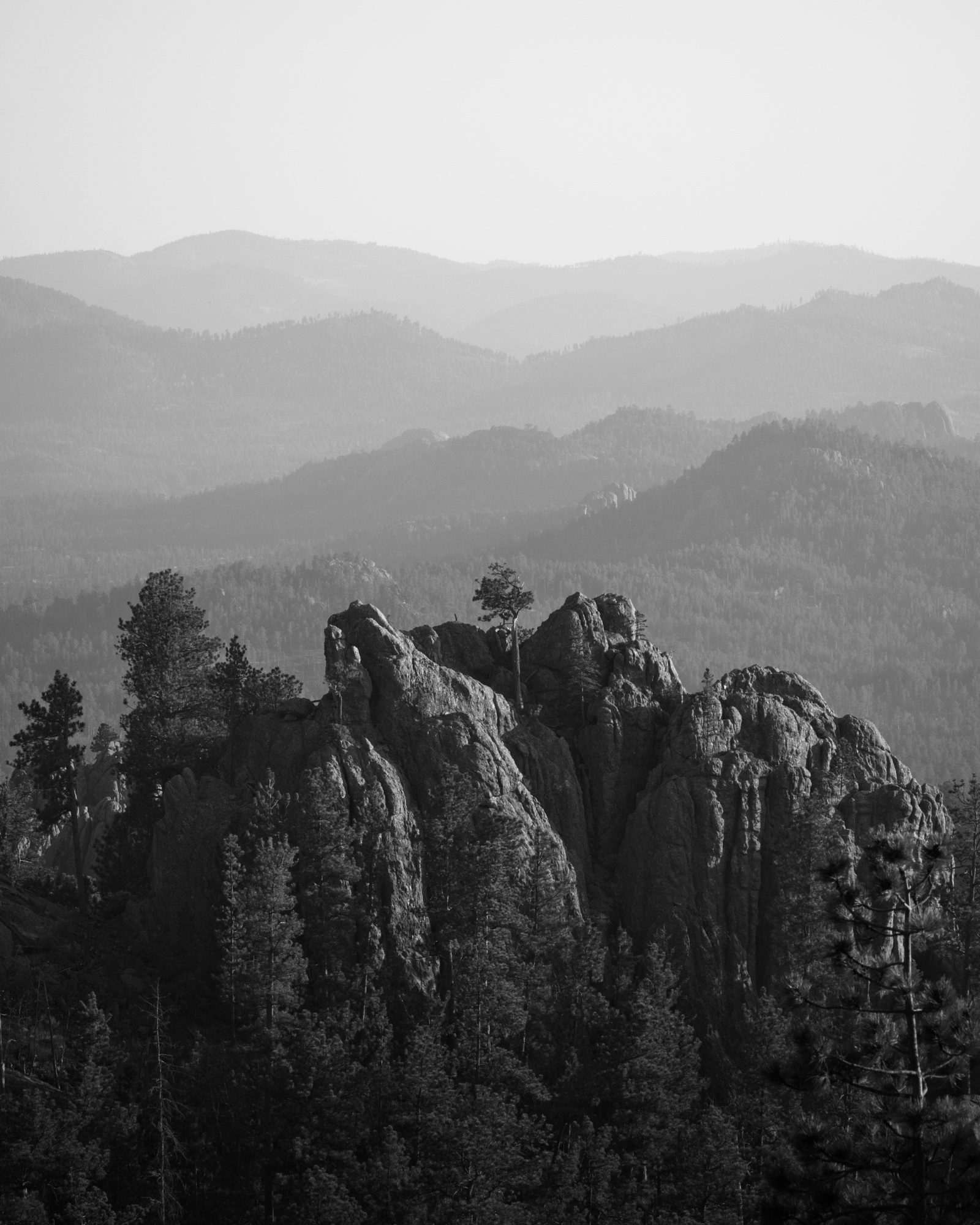 Black Hills Monochrome